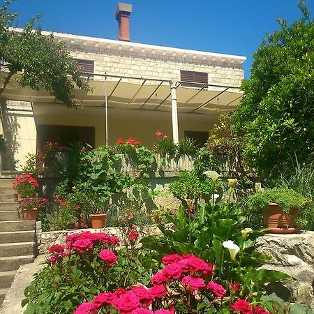 Bed and Breakfast Antun Mozara Family House Slano Exteriér fotografie
