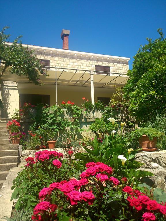 Bed and Breakfast Antun Mozara Family House Slano Exteriér fotografie