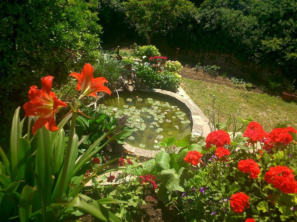 Bed and Breakfast Antun Mozara Family House Slano Exteriér fotografie