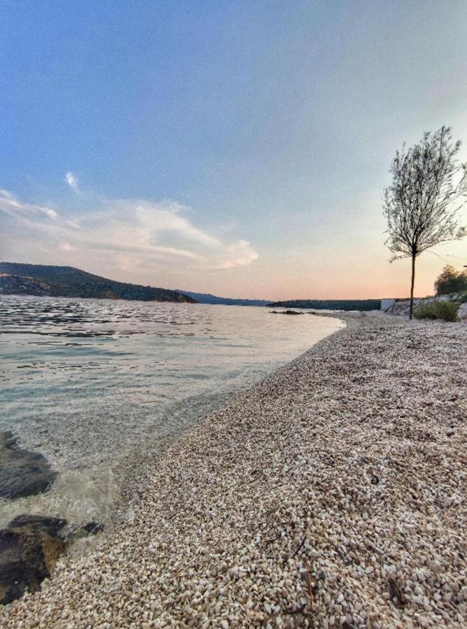Bed and Breakfast Antun Mozara Family House Slano Exteriér fotografie
