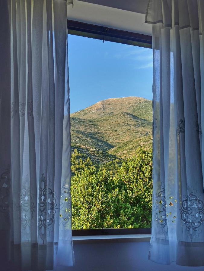 Bed and Breakfast Antun Mozara Family House Slano Exteriér fotografie