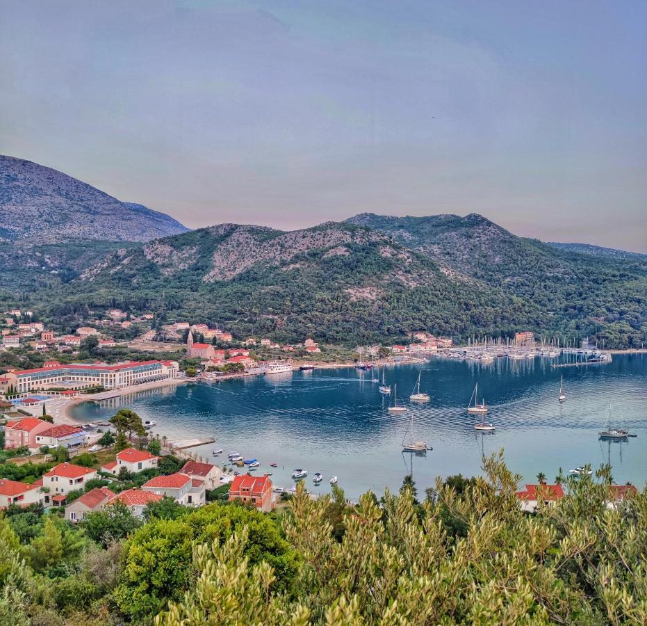 Bed and Breakfast Antun Mozara Family House Slano Exteriér fotografie
