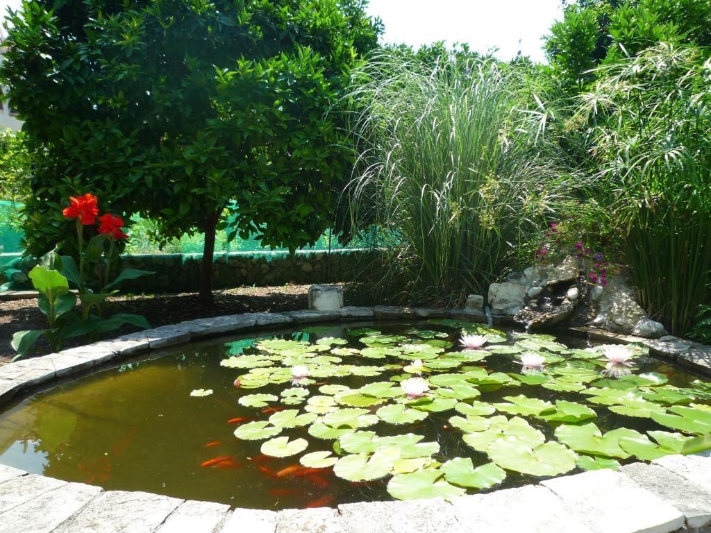 Bed and Breakfast Antun Mozara Family House Slano Exteriér fotografie