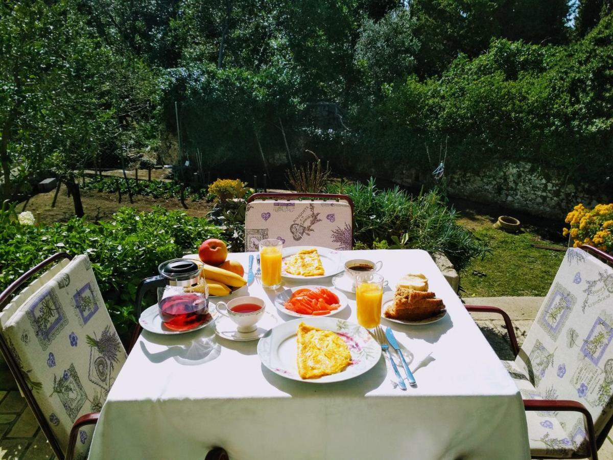 Bed and Breakfast Antun Mozara Family House Slano Exteriér fotografie