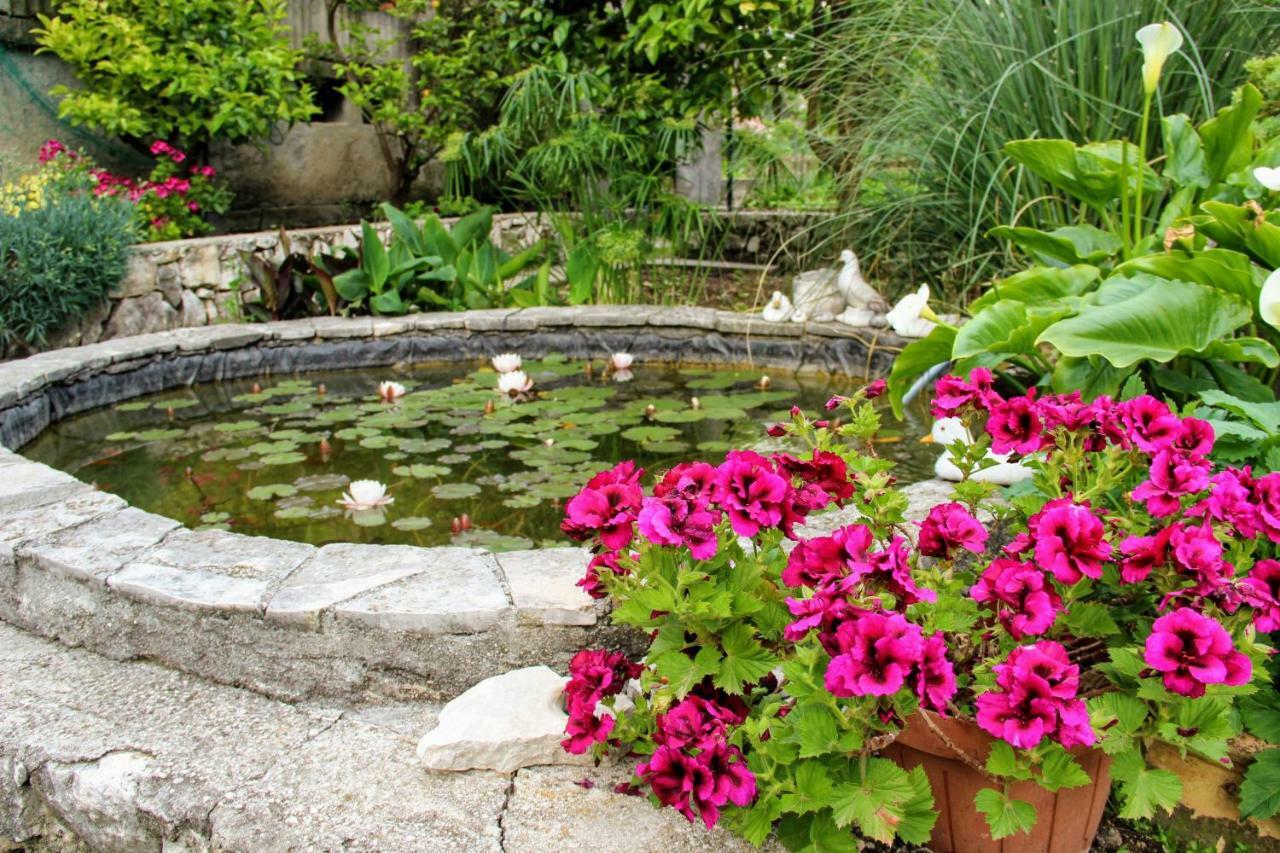 Bed and Breakfast Antun Mozara Family House Slano Exteriér fotografie