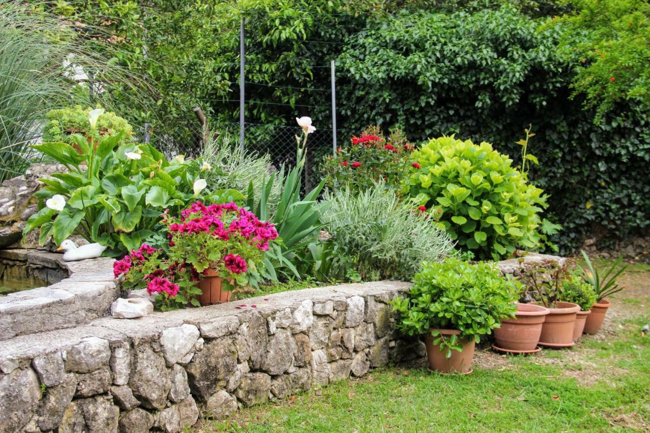 Bed and Breakfast Antun Mozara Family House Slano Exteriér fotografie