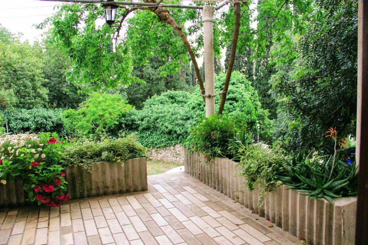 Bed and Breakfast Antun Mozara Family House Slano Exteriér fotografie