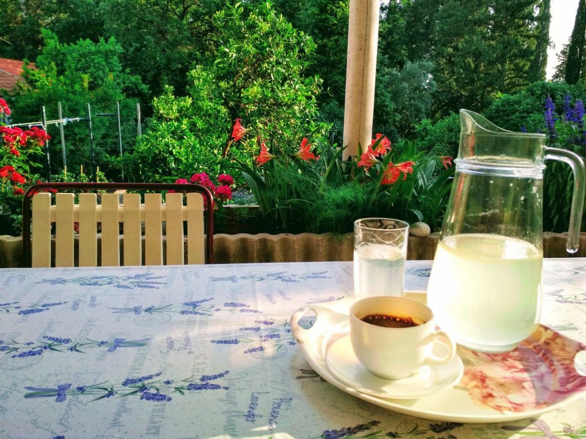 Bed and Breakfast Antun Mozara Family House Slano Exteriér fotografie