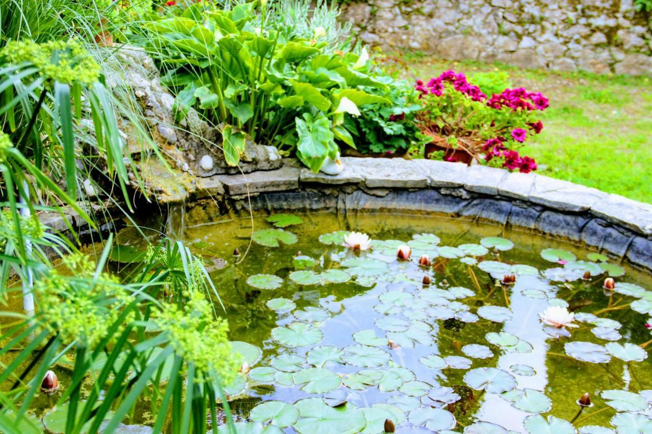 Bed and Breakfast Antun Mozara Family House Slano Exteriér fotografie